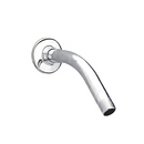 Brazo y chapetón para regadera