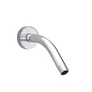 Brazo y chapetón para regadera